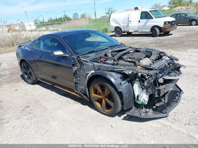 2019 Ford Mustang Ecoboost Premium მანქანა იყიდება აუქციონზე, vin: 1FA6P8TH1K5196807, აუქციონის ნომერი: 12605748