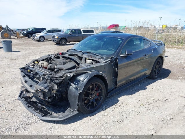 2019 Ford Mustang Ecoboost Premium მანქანა იყიდება აუქციონზე, vin: 1FA6P8TH1K5196807, აუქციონის ნომერი: 12605748
