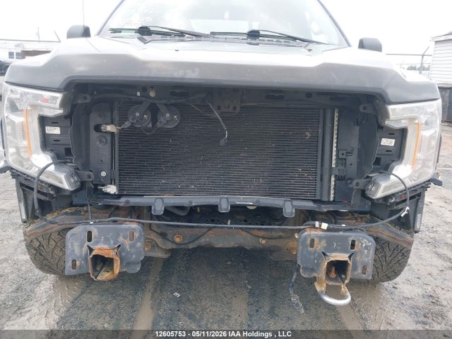 Продажа на аукционе авто 2019 Ford F-150 Xlt, vin: 1FTEW1E59KFD04216, номер лота: 12605753