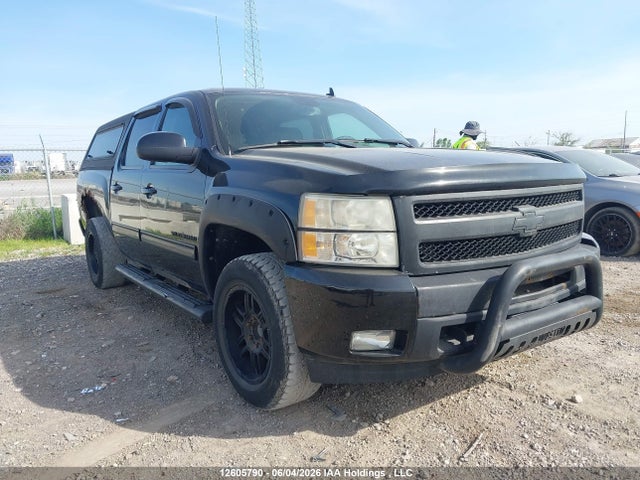 Продаж на аукціоні авто 2009 Chevrolet Silverado K1500, vin: 3GCEK13M79G242846, номер лоту: 12605790