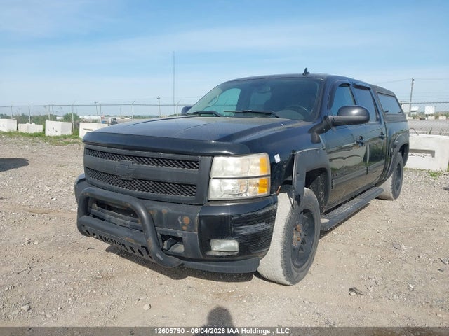 Продаж на аукціоні авто 2009 Chevrolet Silverado K1500, vin: 3GCEK13M79G242846, номер лоту: 12605790