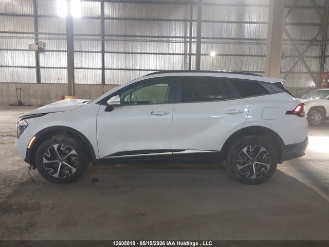 2023 Kia Sportage Ex/ex Premium W/black Interior/ex Premium W/red Interior მანქანა იყიდება აუქციონზე, vin: KNDPVCAF3P7097359, აუქციონის ნომერი: 12605818