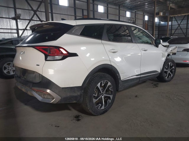 2023 Kia Sportage Ex/ex Premium W/black Interior/ex Premium W/red Interior მანქანა იყიდება აუქციონზე, vin: KNDPVCAF3P7097359, აუქციონის ნომერი: 12605818