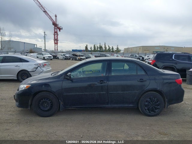 2009 Toyota Corolla Ce მანქანა იყიდება აუქციონზე, vin: 2T1BU40E99C001229, აუქციონის ნომერი: 12605831