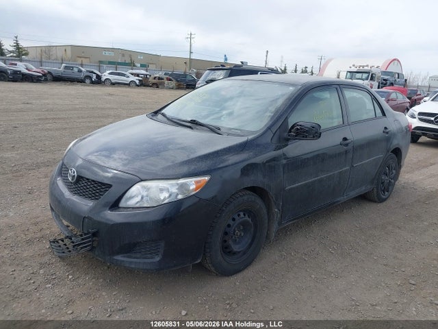2009 Toyota Corolla Ce მანქანა იყიდება აუქციონზე, vin: 2T1BU40E99C001229, აუქციონის ნომერი: 12605831