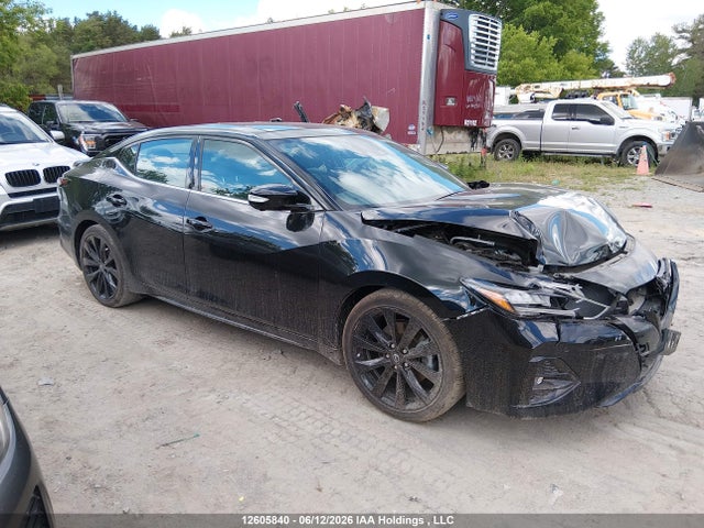 Продаж на аукціоні авто 2023 Nissan Maxima Sr, vin: 1N4AA6EV8PC505131, номер лоту: 12605840