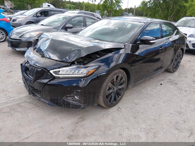 Продаж на аукціоні авто 2023 Nissan Maxima Sr, vin: 1N4AA6EV8PC505131, номер лоту: 12605840