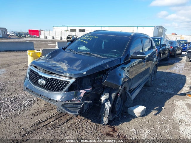 Продаж на аукціоні авто 2015 Kia Sportage Lx, vin: KNDPBCAC2F7774785, номер лоту: 12605877