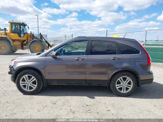 12606071 :رقم المزاد ، 5J6RE4H73AL813053 vin ، 2010 Honda Cr-v Exl مزاد بيع