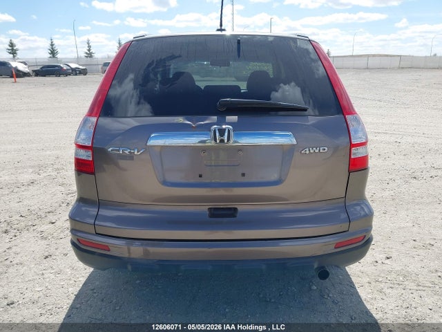 12606071 :رقم المزاد ، 5J6RE4H73AL813053 vin ، 2010 Honda Cr-v Exl مزاد بيع