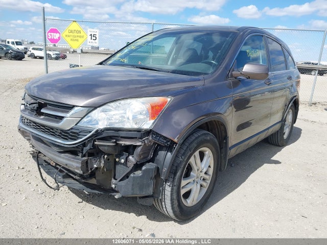 12606071 :رقم المزاد ، 5J6RE4H73AL813053 vin ، 2010 Honda Cr-v Exl مزاد بيع