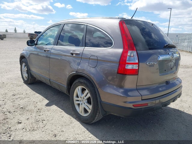 12606071 :رقم المزاد ، 5J6RE4H73AL813053 vin ، 2010 Honda Cr-v Exl مزاد بيع