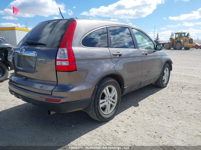 12606071 :رقم المزاد ، 5J6RE4H73AL813053 vin ، 2010 Honda Cr-v Exl مزاد بيع