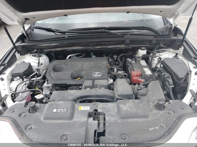 2025 Lexus Nx 250 მანქანა იყიდება აუქციონზე, vin: 2T2ADCEZ4SC006695, აუქციონის ნომერი: 12606102