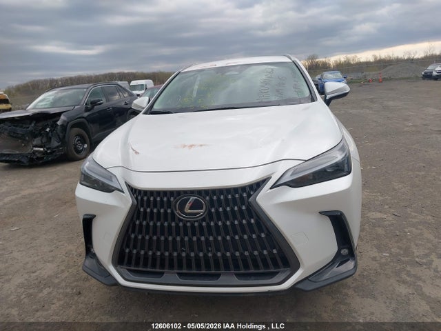 2025 Lexus Nx 250 მანქანა იყიდება აუქციონზე, vin: 2T2ADCEZ4SC006695, აუქციონის ნომერი: 12606102