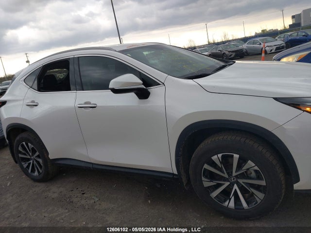 2025 Lexus Nx 250 მანქანა იყიდება აუქციონზე, vin: 2T2ADCEZ4SC006695, აუქციონის ნომერი: 12606102