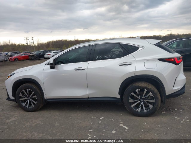 2025 Lexus Nx 250 მანქანა იყიდება აუქციონზე, vin: 2T2ADCEZ4SC006695, აუქციონის ნომერი: 12606102