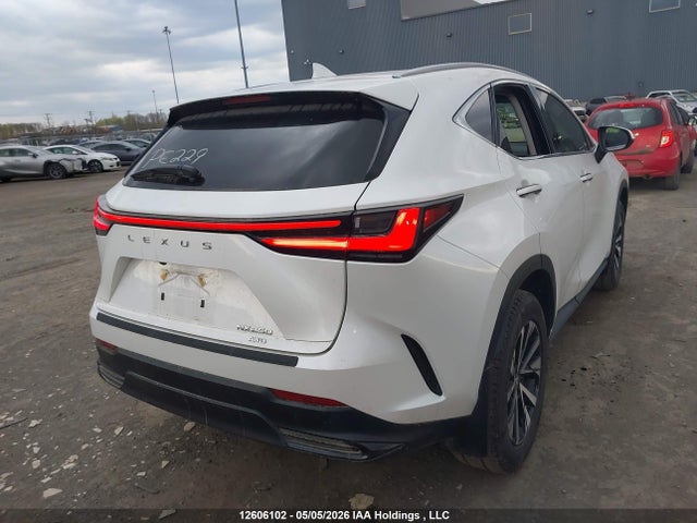 2025 Lexus Nx 250 მანქანა იყიდება აუქციონზე, vin: 2T2ADCEZ4SC006695, აუქციონის ნომერი: 12606102