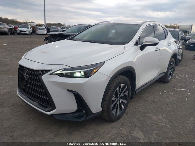 2025 Lexus Nx 250 მანქანა იყიდება აუქციონზე, vin: 2T2ADCEZ4SC006695, აუქციონის ნომერი: 12606102
