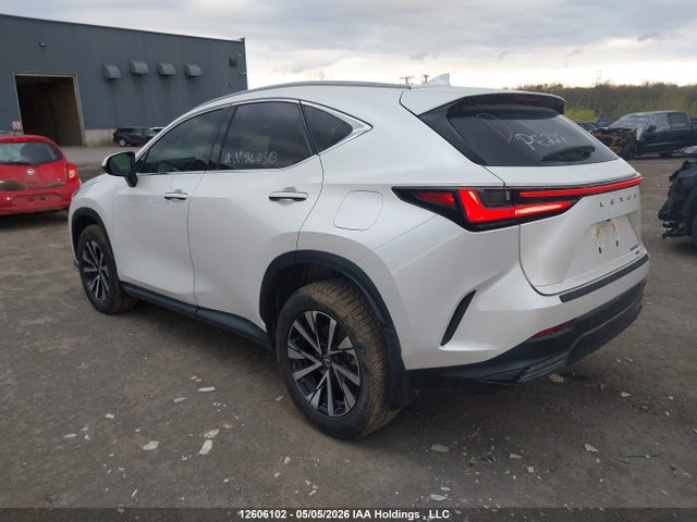 2025 Lexus Nx 250 მანქანა იყიდება აუქციონზე, vin: 2T2ADCEZ4SC006695, აუქციონის ნომერი: 12606102