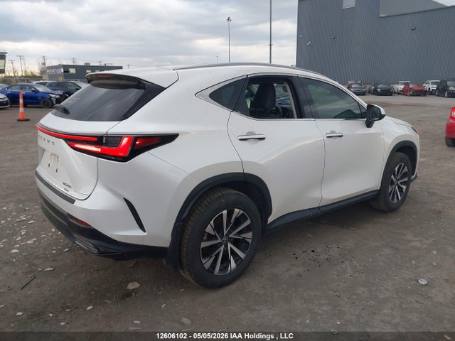 2025 Lexus Nx 250 მანქანა იყიდება აუქციონზე, vin: 2T2ADCEZ4SC006695, აუქციონის ნომერი: 12606102