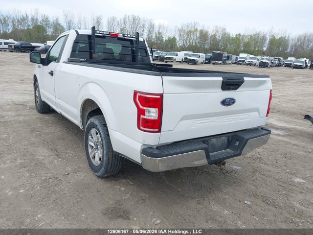 Ford F150 2020 1FTMF1C52LKD59095 Image 3