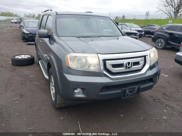2010 Honda Pilot Ex-l მანქანა იყიდება აუქციონზე, vin: 5FNYF4H50AB502146, აუქციონის ნომერი: 12606362