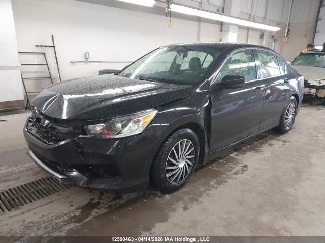 1HGCR2F32GA804306 Honda ACCORD LX