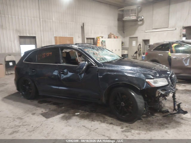 Продаж на аукціоні авто 2013 Audi Q5 3.0t Premium/3.0t Premium Plus, vin: WA1MGCFP8DA042431, номер лоту: 12592389