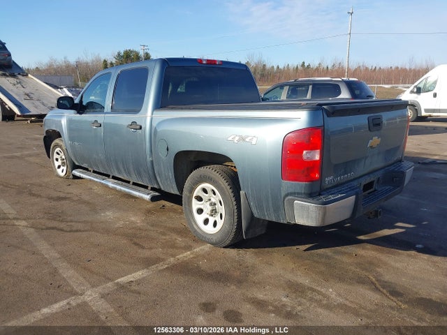 2007 Chevrolet Silverado 1500 Next Generation Lt/wt მანქანა იყიდება აუქციონზე, vin: 2GCEK13C671684174, აუქციონის ნომერი: 12563306