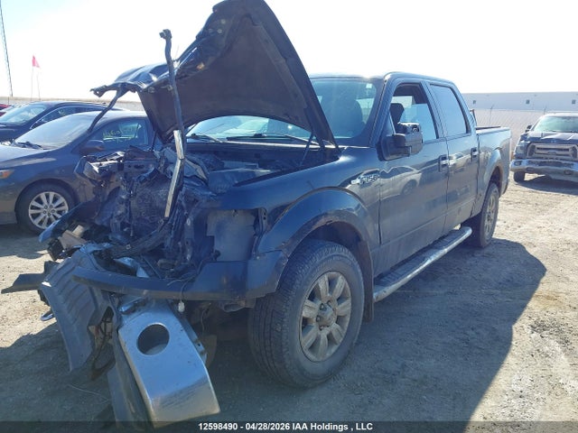 12598490 :رقم المزاد ، 1FTFW1EF5CKE10619 vin ، 2012 Ford F-150 Xlt مزاد بيع