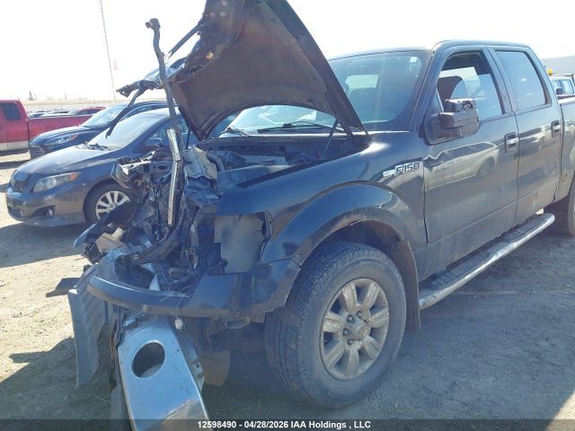 12598490 :رقم المزاد ، 1FTFW1EF5CKE10619 vin ، 2012 Ford F-150 Xlt مزاد بيع