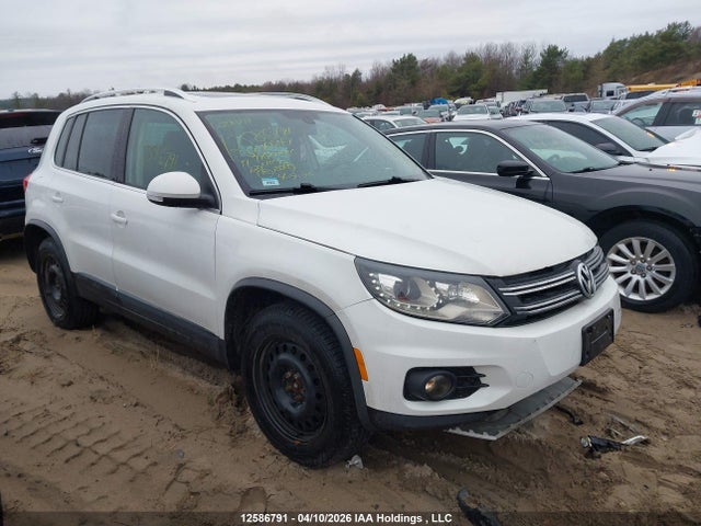 WVGLV7AX5HW504647 Volkswagen Tiguan