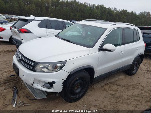 WVGLV7AX5HW504647 Volkswagen Tiguan