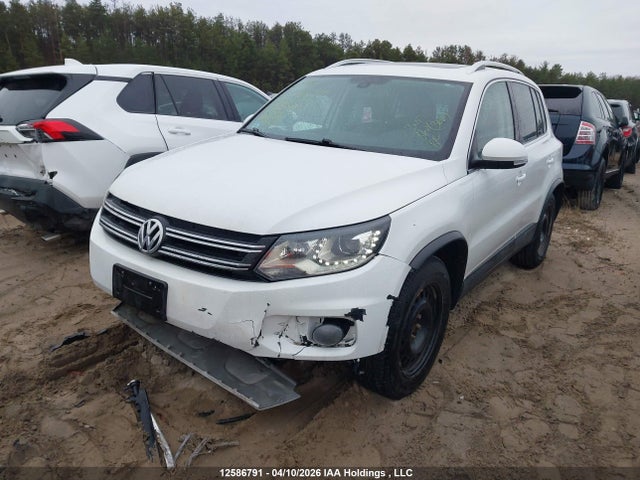 WVGLV7AX5HW504647 Volkswagen Tiguan