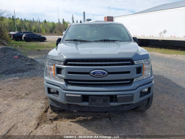 Продаж на аукціоні авто 2019 Ford F-150, vin: 1FTFW1E46KKD98848, номер лоту: 12606812