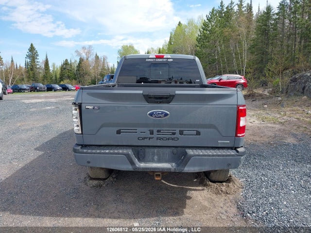 Продаж на аукціоні авто 2019 Ford F-150, vin: 1FTFW1E46KKD98848, номер лоту: 12606812