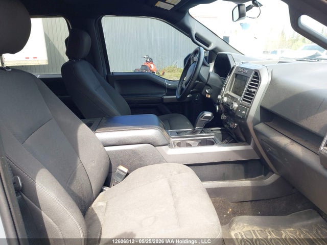 Продаж на аукціоні авто 2019 Ford F-150, vin: 1FTFW1E46KKD98848, номер лоту: 12606812