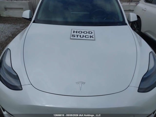 Tesla Model Y 2023 LRWYGDFD7PC967341 Image 8