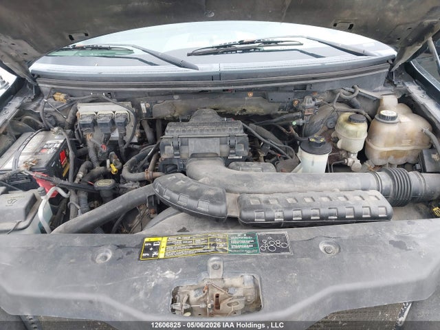 Продажа на аукционе авто 2004 Ford F150 Supercrew, vin: 1FTPW145X4KA82712, номер лота: 12606825