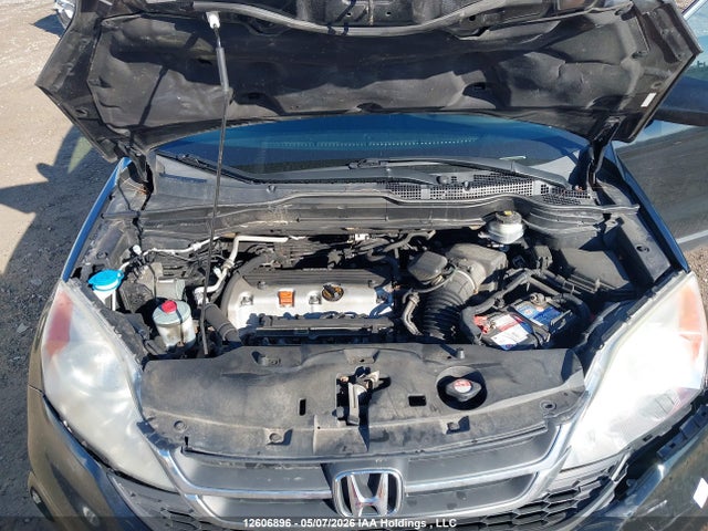Продаж на аукціоні авто 2010 Honda Cr-v, vin: 5J6RE3H38AL802833, номер лоту: 12606896