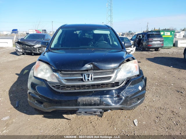 Продаж на аукціоні авто 2010 Honda Cr-v, vin: 5J6RE3H38AL802833, номер лоту: 12606896