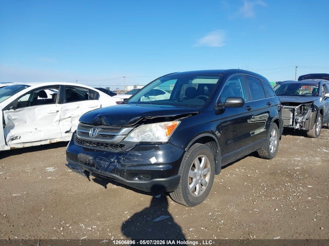 Продаж на аукціоні авто 2010 Honda Cr-v, vin: 5J6RE3H38AL802833, номер лоту: 12606896