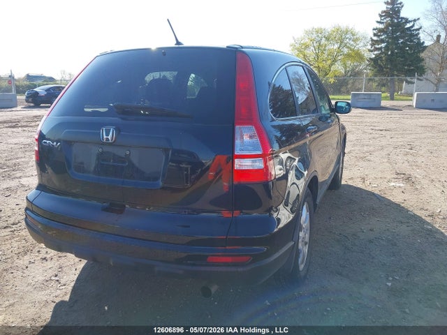Продаж на аукціоні авто 2010 Honda Cr-v, vin: 5J6RE3H38AL802833, номер лоту: 12606896