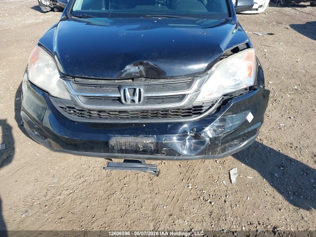 Продаж на аукціоні авто 2010 Honda Cr-v, vin: 5J6RE3H38AL802833, номер лоту: 12606896