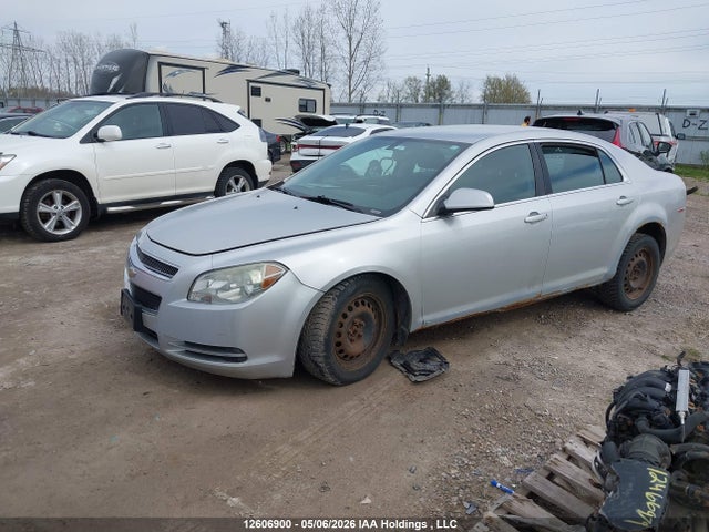 12606900 :رقم المزاد ، 1G1ZH57B69F247384 vin ، 2009 Chevrolet Malibu 1lt مزاد بيع