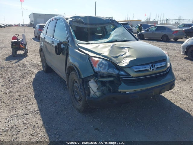 Продаж на аукціоні авто 2007 Honda Cr-v Exl, vin: 5J6RE48777L815008, номер лоту: 12607072