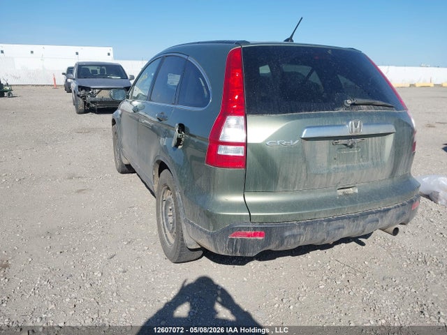Aukcja sprzedaży 2007 Honda Cr-v Exl, vin: 5J6RE48777L815008, numer aukcji: 12607072