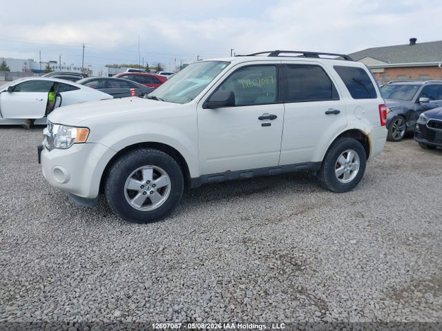 Продажа на аукционе авто 2011 Ford Escape Xlt, vin: 1FMCU9DG9BKA58589, номер лота: 12607087