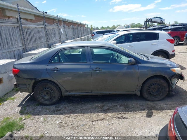 12607117 :رقم المزاد ، 2T1BU4EE2AC445226 vin ، 2010 Toyota Corolla Ce مزاد بيع